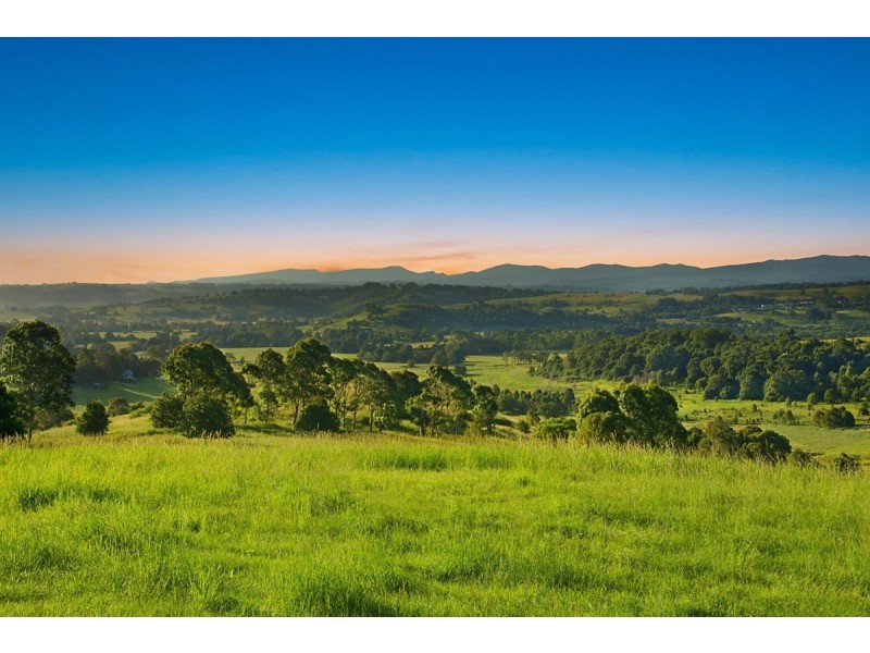 54 Satinwood Drive, Mcleans Ridges NSW 2480