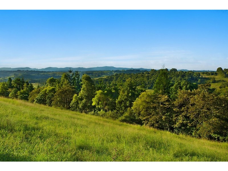 54 Satinwood Drive, Mcleans Ridges NSW 2480