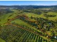 54 Satinwood Drive, Mcleans Ridges NSW 2480