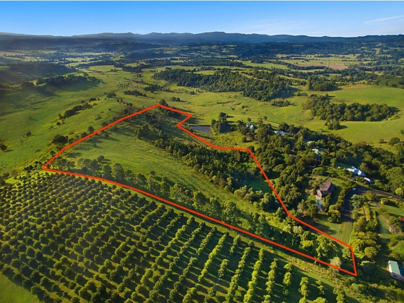 54 Satinwood Drive, Mcleans Ridges NSW 2480