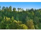 54 Satinwood Drive, Mcleans Ridges NSW 2480