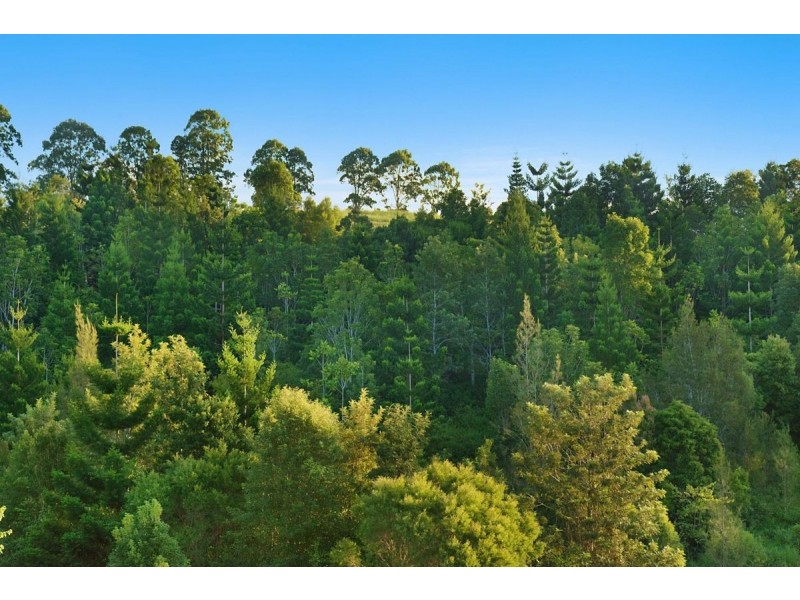 54 Satinwood Drive, Mcleans Ridges NSW 2480