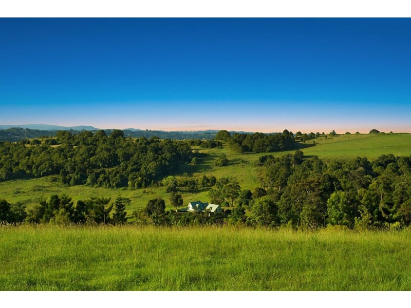 54 Satinwood Drive, Mcleans Ridges NSW 2480