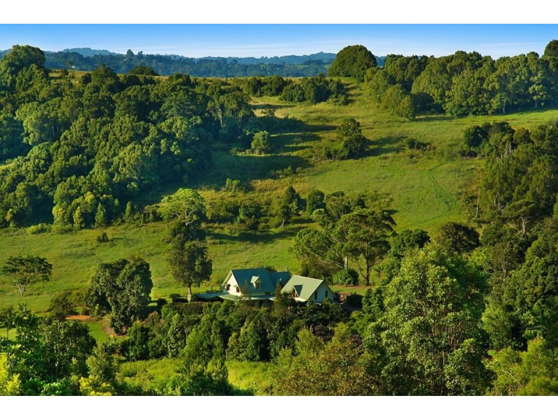 54 Satinwood Drive, Mcleans Ridges NSW 2480