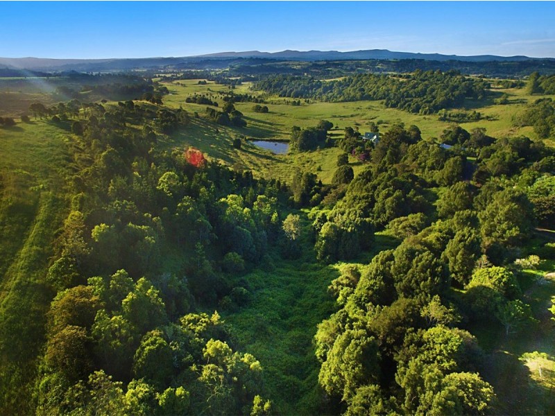 54 Satinwood Drive, Mcleans Ridges NSW 2480