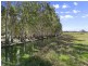 308 Brooms Head Road, Gulmarrad NSW 2463