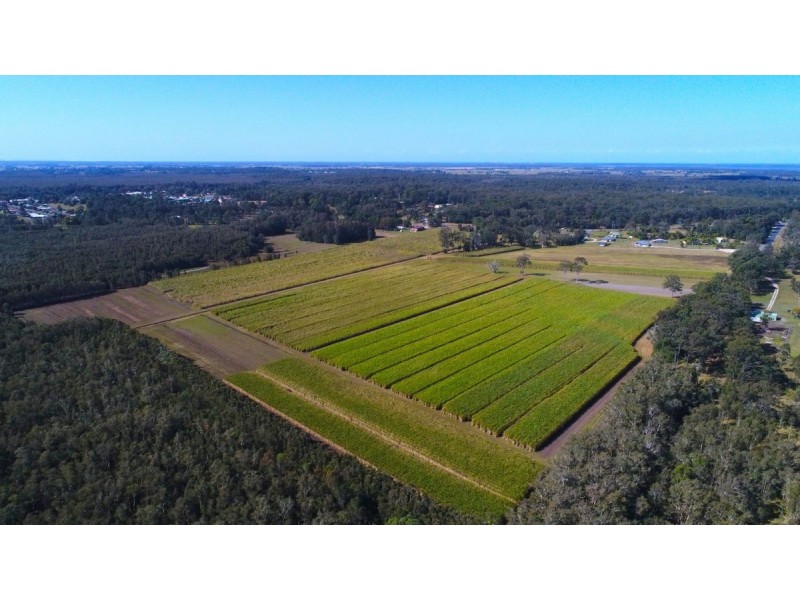 308 Brooms Head Road, Gulmarrad NSW 2463