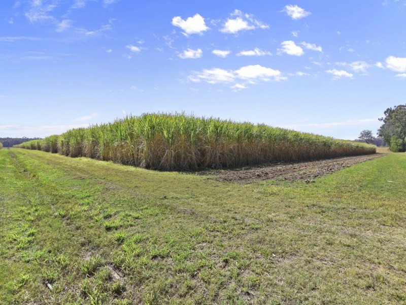 308 Brooms Head Road, Gulmarrad NSW 2463