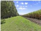 308 Brooms Head Road, Gulmarrad NSW 2463