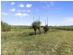 308 Brooms Head Road, Gulmarrad NSW 2463