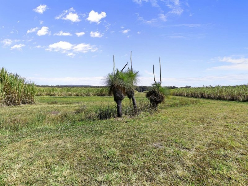308 Brooms Head Road, Gulmarrad NSW 2463