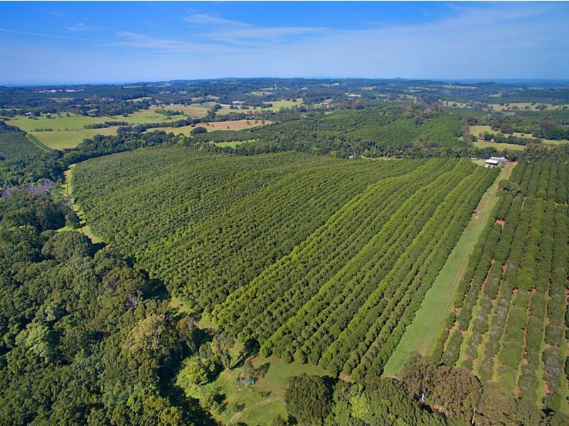 100A Lindendale Road, Lindendale NSW 2480