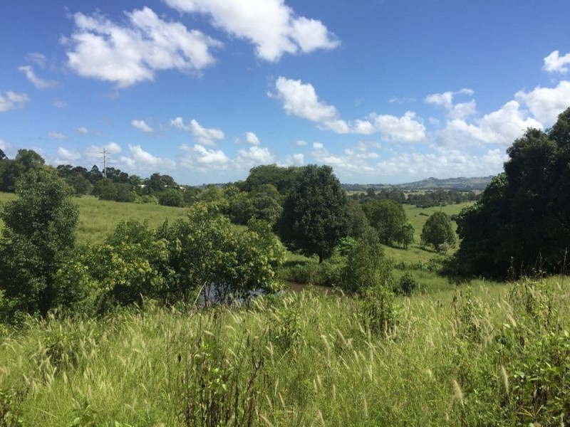 896 Wyrallah Road, Wyrallah NSW 2480