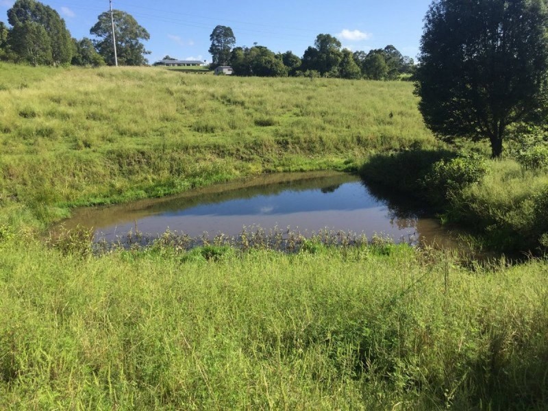896 Wyrallah Road, Wyrallah NSW 2480