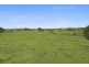 896 Wyrallah Road, Wyrallah NSW 2480