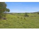 896 Wyrallah Road, Wyrallah NSW 2480