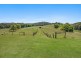 11 Bayfigs Place, Myocum NSW 2481