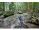 497 Mount Warning Road,, Mount Warning NSW 2484