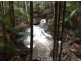 497 Mount Warning Road,, Mount Warning NSW 2484