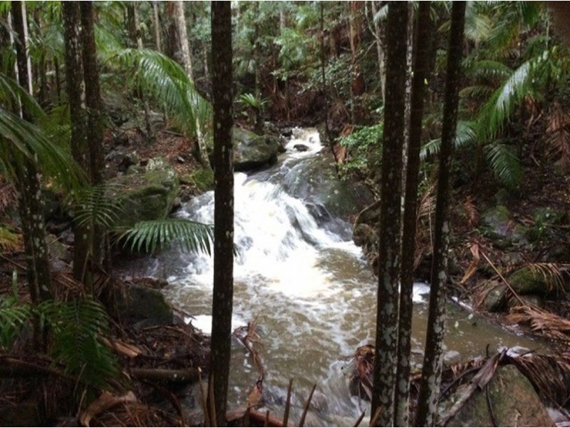 497 Mount Warning Road,, Mount Warning NSW 2484