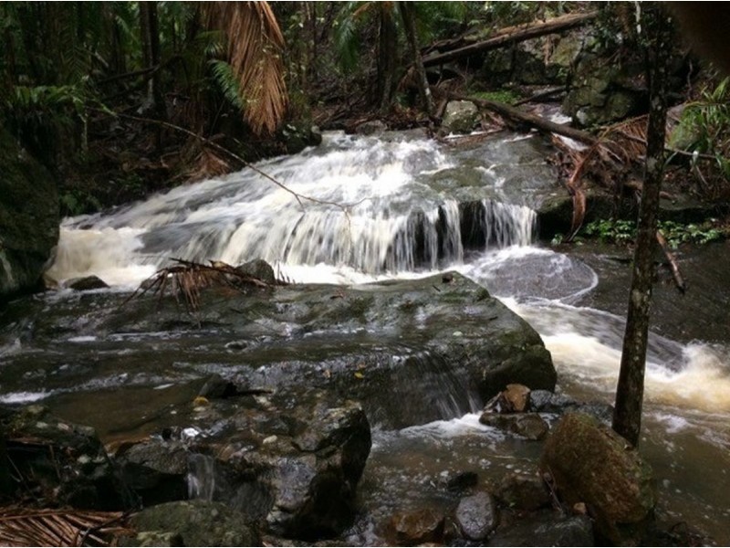 497 Mount Warning Road,, Mount Warning NSW 2484