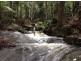497 Mount Warning Road,, Mount Warning NSW 2484