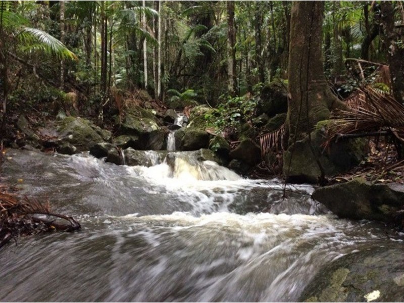 497 Mount Warning Road,, Mount Warning NSW 2484