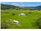 175 Wilsons Creek Road, Wilsons Creek NSW 2482