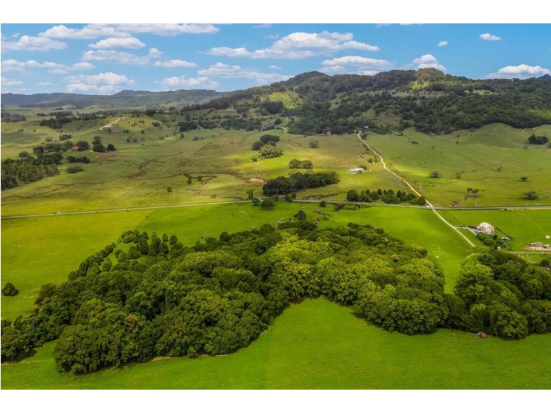175 Wilsons Creek Road, Wilsons Creek NSW 2482