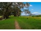 175 Wilsons Creek Road, Wilsons Creek NSW 2482