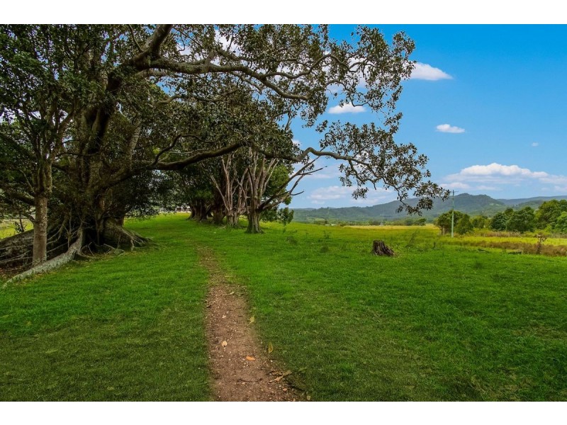175 Wilsons Creek Road, Wilsons Creek NSW 2482