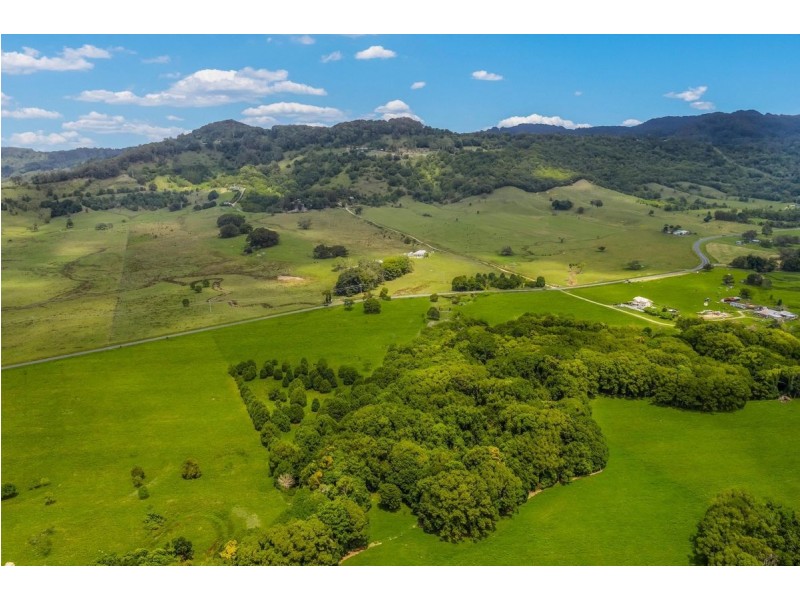 175 Wilsons Creek Road, Wilsons Creek NSW 2482