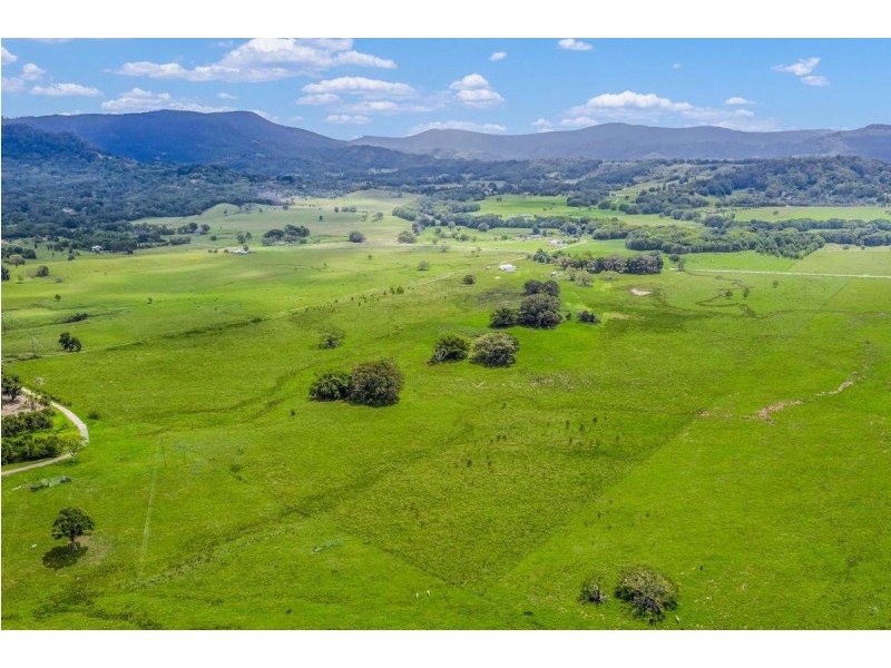 175 Wilsons Creek Road, Wilsons Creek NSW 2482