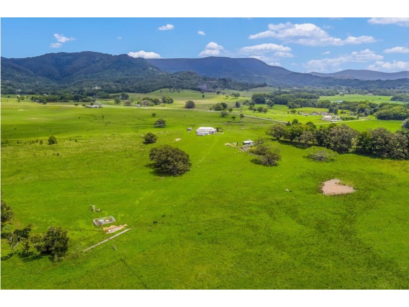 175 Wilsons Creek Road, Wilsons Creek NSW 2482