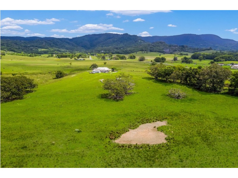 175 Wilsons Creek Road, Wilsons Creek NSW 2482
