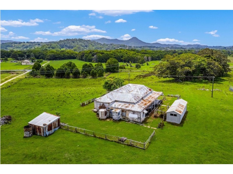 175 Wilsons Creek Road, Wilsons Creek NSW 2482