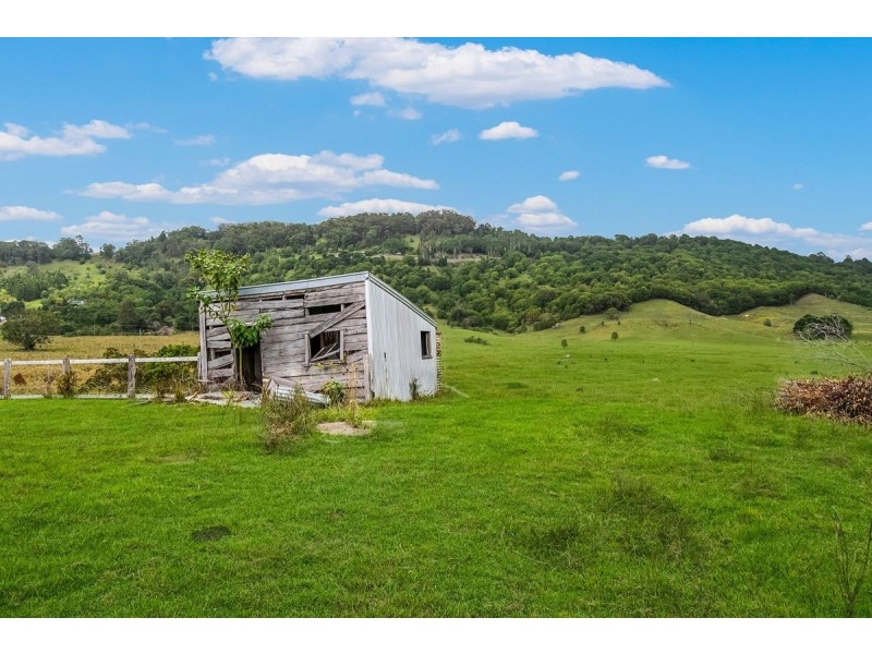 175 Wilsons Creek Road, Wilsons Creek NSW 2482