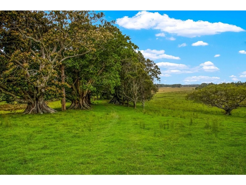 175 Wilsons Creek Road, Wilsons Creek NSW 2482
