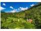 354 Upper Wilsons Creek Road, Upper Wilsons Creek NSW 2482