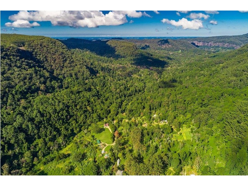 354 Upper Wilsons Creek Road, Upper Wilsons Creek NSW 2482