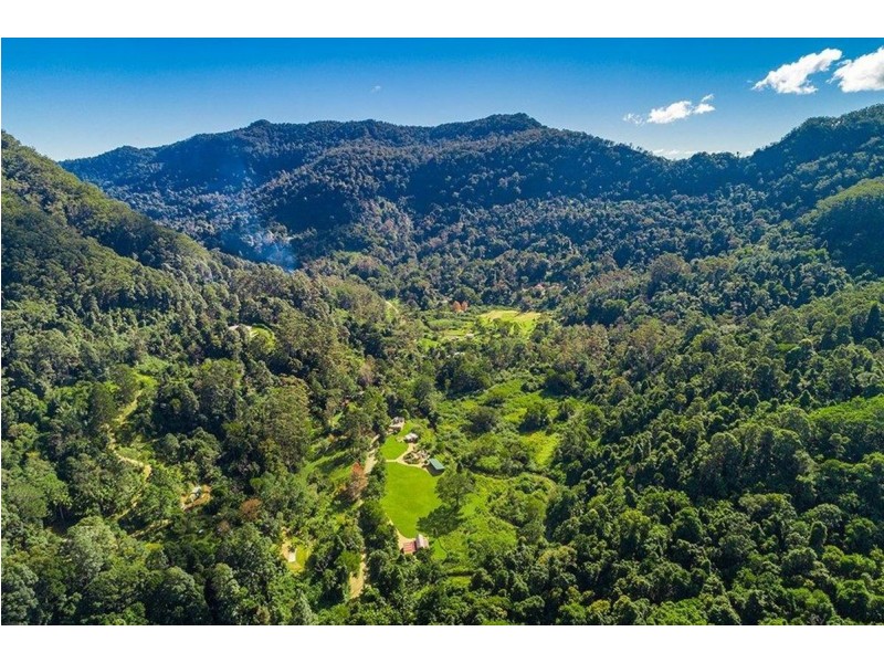 354 Upper Wilsons Creek Road, Upper Wilsons Creek NSW 2482