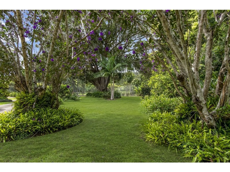 223 Nolans Road, Stokers Siding NSW 2484