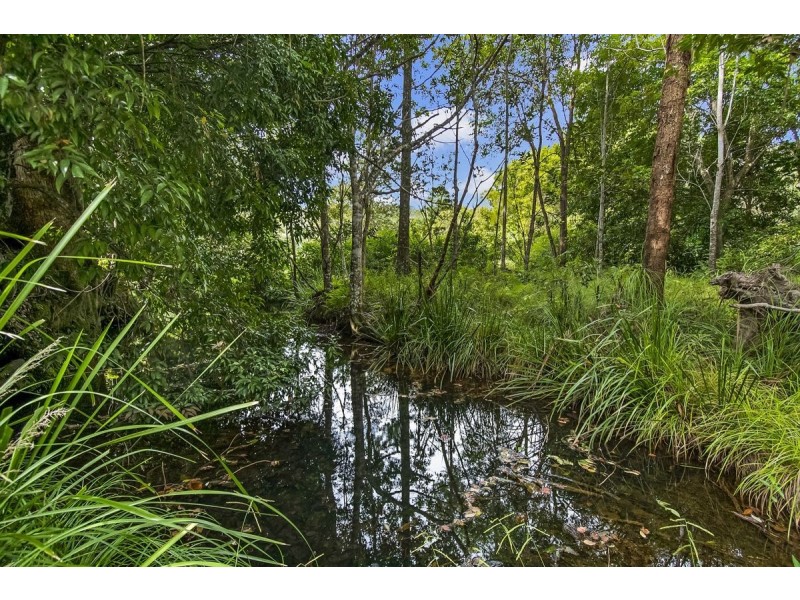 223 Nolans Road, Stokers Siding NSW 2484