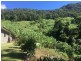 114 Hidden Valley Road, Mount Warning NSW 2484