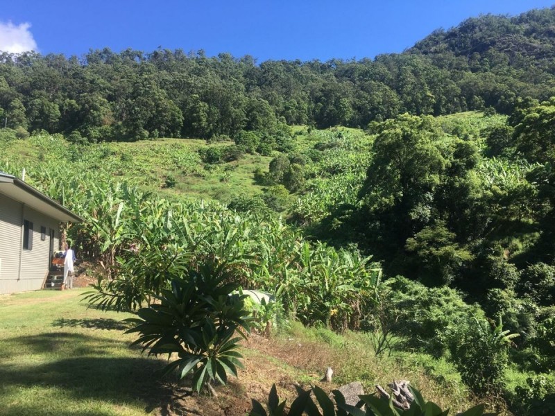 114 Hidden Valley Road, Mount Warning NSW 2484