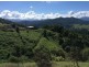 114 Hidden Valley Road, Mount Warning NSW 2484