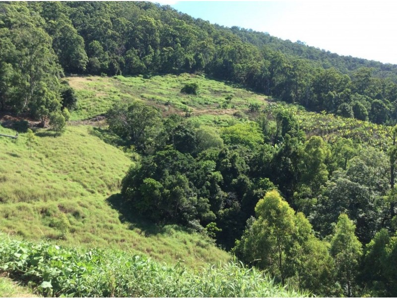 114 Hidden Valley Road, Mount Warning NSW 2484