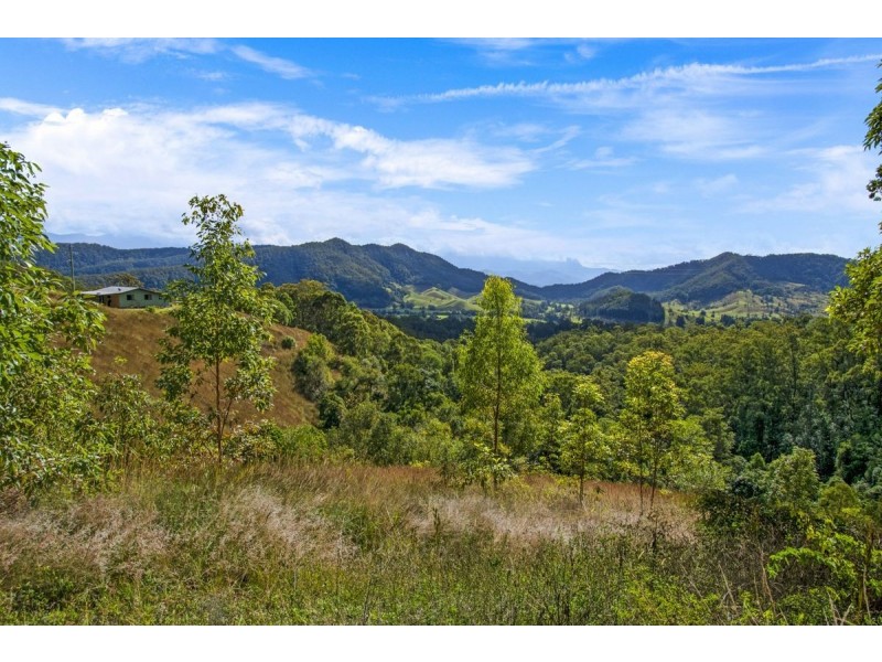 114 Hidden Valley Road, Mount Warning NSW 2484