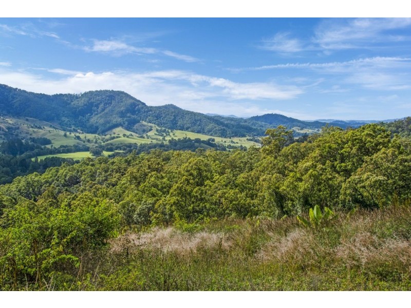 114 Hidden Valley Road, Mount Warning NSW 2484