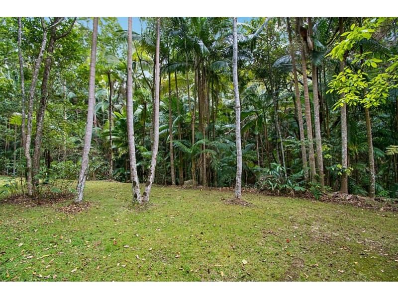 497 Mount Warning Road,, Mount Warning NSW 2484